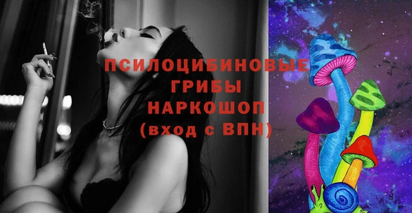 соль ск Зеленокумск