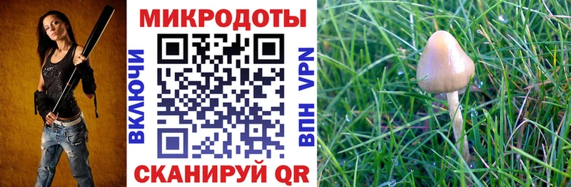 Купить  Зерноград  Галлюциногенные грибы мухоморы 