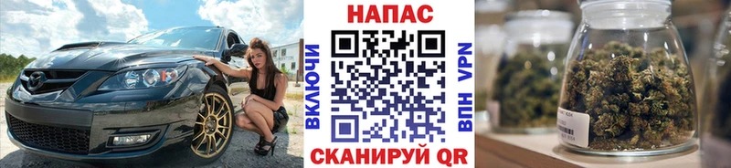 Канабис конопля Зерноград